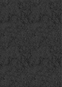 Machine Washable Transitional Black Rug, wshpat537