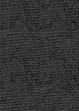 Patterned Black Novelty Rug, pat537