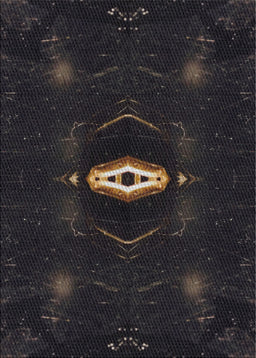 Machine Washable Transitional Black Rug, wshpat539