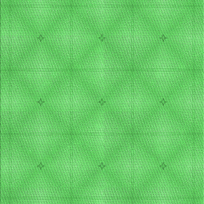 Machine Washable Transitional Neon Green Rug, wshpat540grn