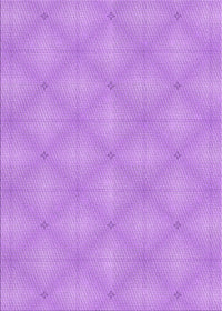 Machine Washable Transitional Violet Purple Rug, wshpat540pur