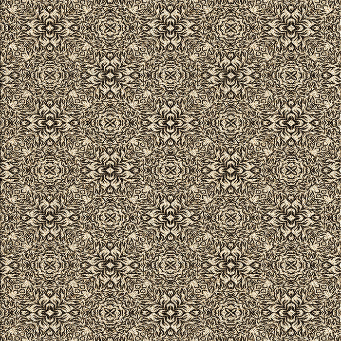 Machine Washable Transitional Chocolate Brown Rug, wshpat542brn