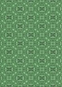 Machine Washable Transitional Deep Emerald Green Rug, wshpat542grn