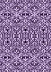 Machine Washable Transitional Purple Rug, wshpat542pur