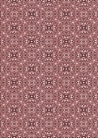 Machine Washable Transitional Saffron Red Rug, wshpat542rd