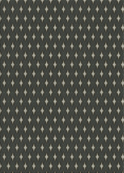Patterned Mid Gray Novelty Rug, pat54