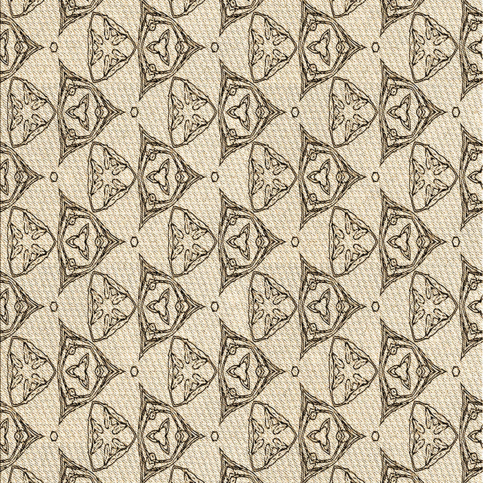 Machine Washable Transitional Vanilla Gold Rug, wshpat552brn