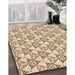 Machine Washable Transitional Light Brown Rug in a Family Room, wshpat552org