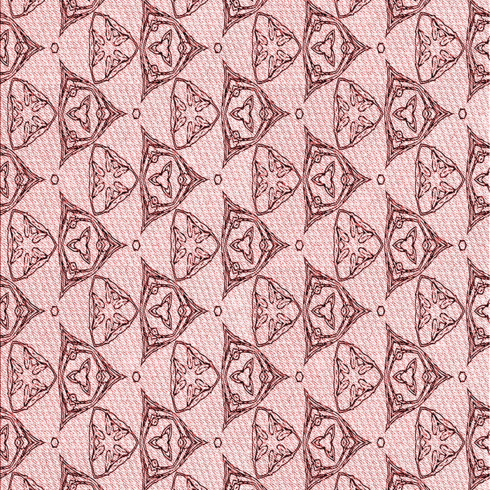 Machine Washable Transitional Indian Red Rug, wshpat552rd