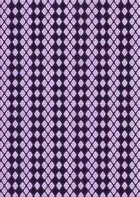 Machine Washable Transitional Dark Purple Rug, wshpat554pur