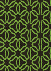 Machine Washable Transitional Green Rug, wshpat556brn