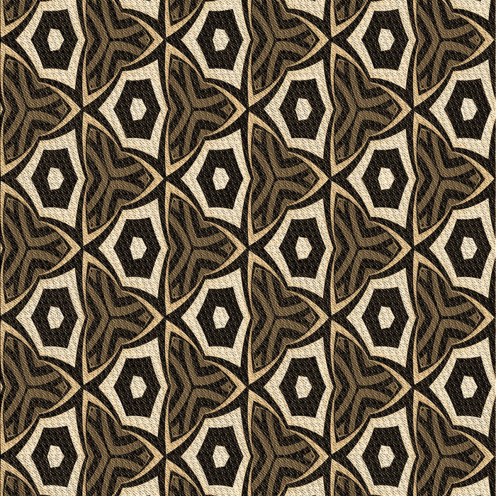 Machine Washable Transitional Peru Brown Rug, wshpat558brn