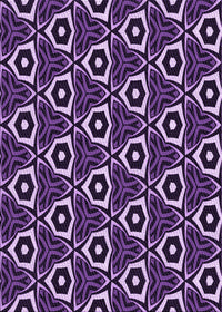 Machine Washable Transitional Purple Rug, wshpat558pur