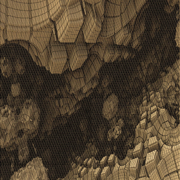 Machine Washable Transitional Light Brown Rug, wshpat559brn