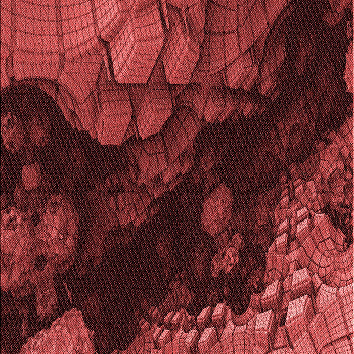 Patterned Red Rug, pat559rd