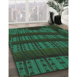 Patterned Dark Forest Green Novelty Rug in Family Room, pat560