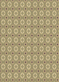 Machine Washable Transitional Brown Rug, wshpat567brn