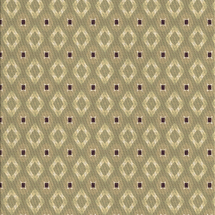 Machine Washable Transitional Brown Rug, wshpat567brn