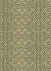 Machine Washable Transitional Brass Green Rug, wshpat569brn