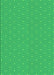 Machine Washable Transitional Neon Green Rug, wshpat569grn