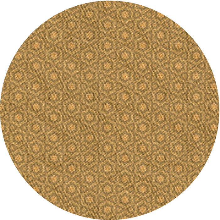 Square Machine Washable Transitional Dark Bisque Brown Rug in a Living Room, wshpat569org