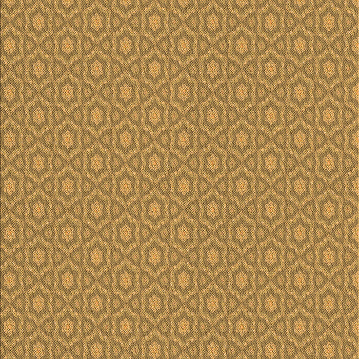 Machine Washable Transitional Dark Bisque Brown Rug, wshpat569org