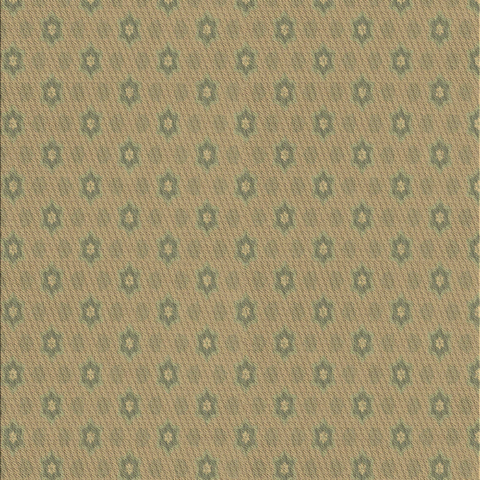 Machine Washable Transitional Brown Rug, wshpat570brn