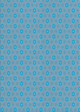 Patterned Blue Novelty Rug, pat570
