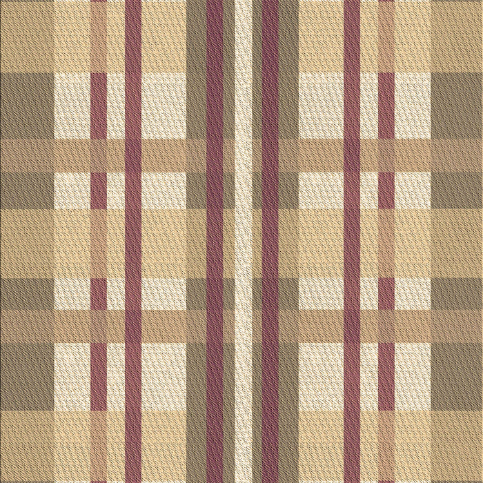 Machine Washable Transitional Petra Gold Brown Rug, wshpat576brn