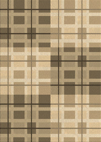 Machine Washable Transitional Brown Rug, wshpat579brn