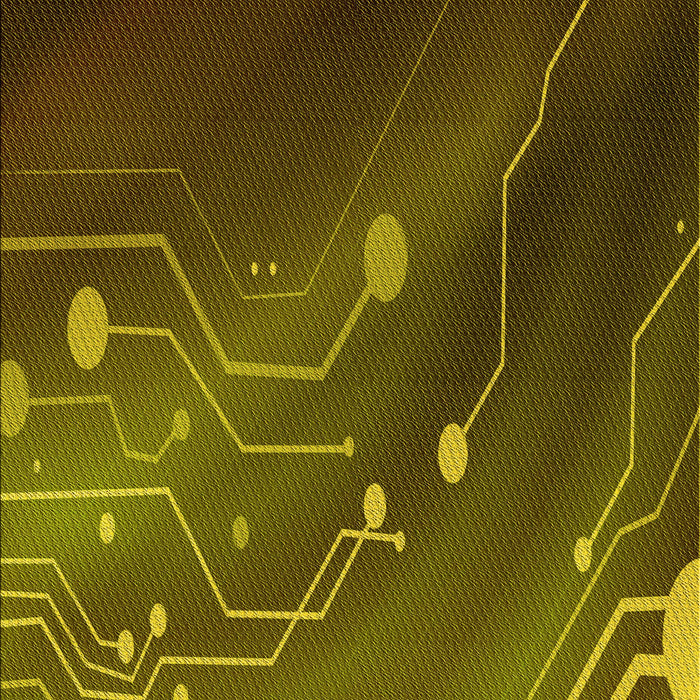 Machine Washable Transitional Dark Yellow Green Rug, wshpat587yw