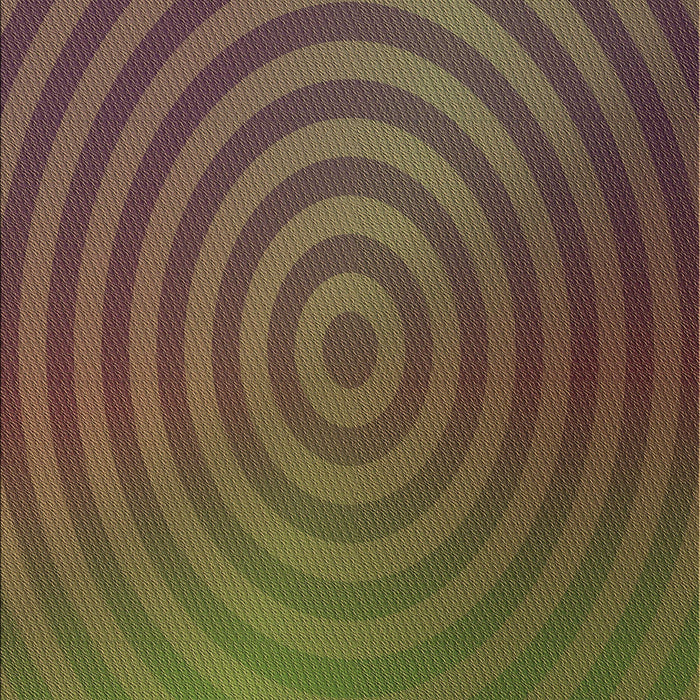 Machine Washable Transitional Dark Brown Rug, wshpat589brn