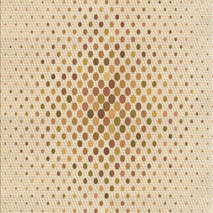 Machine Washable Transitional Orange Rug, wshpat591org