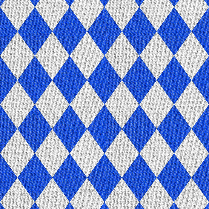 Patterned Blue Novelty Rug, pat593