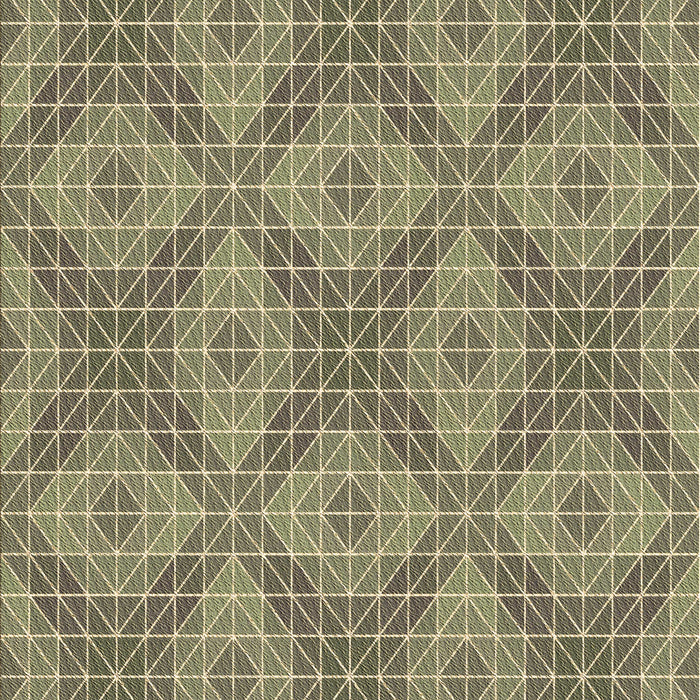 Machine Washable Transitional Antique Bronze Green Rug, wshpat594brn