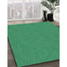 Machine Washable Transitional Spring Green Rug in a Family Room, wshpat596grn