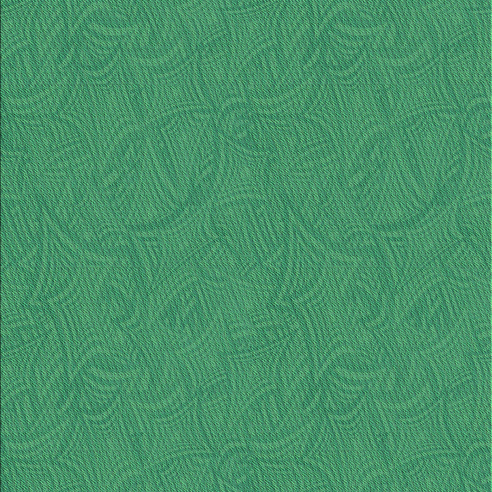 Machine Washable Transitional Spring Green Rug, wshpat596grn