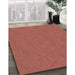 Machine Washable Transitional Red Rug in a Family Room, wshpat596org