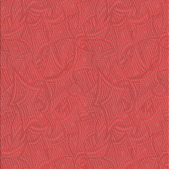 Machine Washable Transitional Red Rug, wshpat596rd