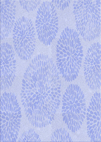 Machine Washable Transitional Sky Blue Rug, wshpat602blu