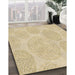 Machine Washable Transitional Metallic Gold Rug in a Family Room, wshpat602brn