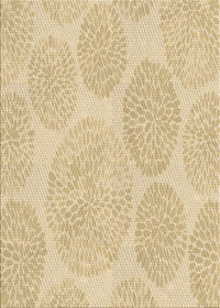 Machine Washable Transitional Metallic Gold Rug, wshpat602brn