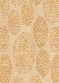 Machine Washable Transitional Orange Rug, wshpat602org