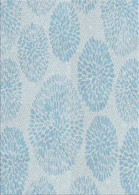 Machine Washable Transitional Koi Blue Rug, wshpat602