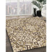 Patterned Khaki Gold Rug in Family Room, pat604brn