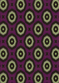 Machine Washable Transitional Purple Lily Purple Rug, wshpat607brn