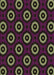 Machine Washable Transitional Purple Lily Purple Rug, wshpat607brn