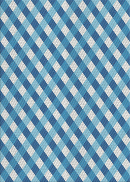 Patterned Blue Novelty Rug, pat608