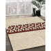 Patterned Moccasin Beige Rug in Family Room, pat611brn