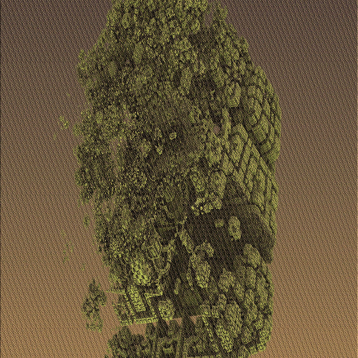 Patterned Light Brown Rug, pat612brn